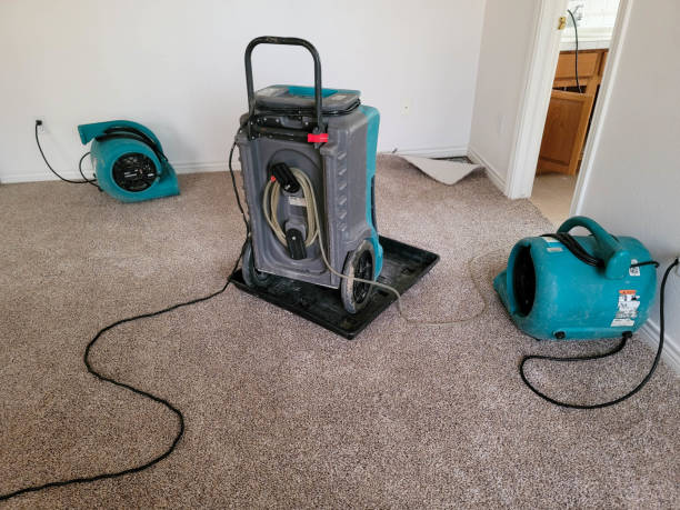Best Emergency water damage restoration  in Plano, KY