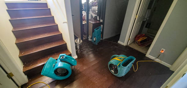 Best Commercial water damage restoration  in Plano, KY