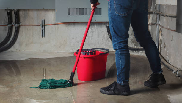 Best Basement water damage restoration  in Plano, KY