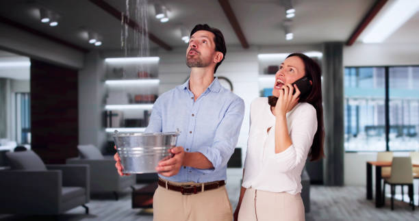 Best Residential water damage restoration  in Plano, KY