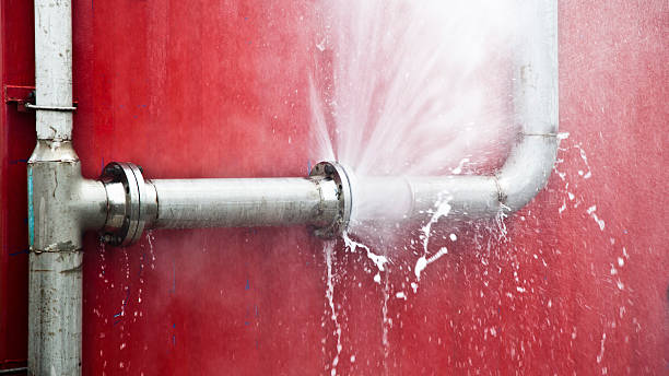 Best Flood damage cleanup  in Plano, KY