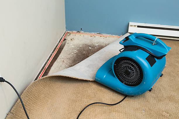 Best Commercial water damage restoration  in Plano, KY